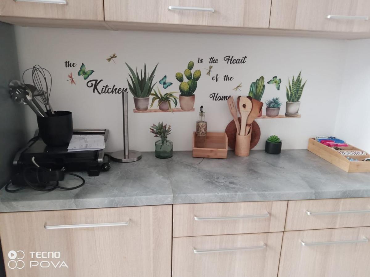 Grand Appartement Au Coeur De Strasbourg Exteriör bild